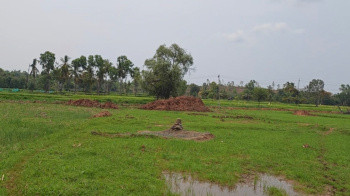 3 Acres 12 Ghunthas High raise JD Apartment, Bychapura, Devanahalli