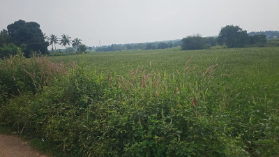 100 Acres Malur to Thornahalli Outright Property