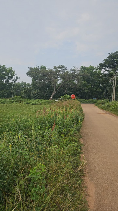 50 Acres Layout JD in Tumkur