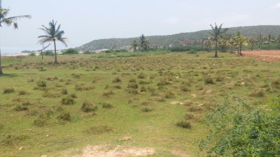 2 Acres Harohalli, Sarajapur Outright Property