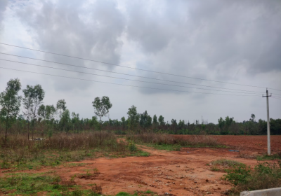 70 Acres Layout JD/JV in Nagarajuna College Near, Devanahalli