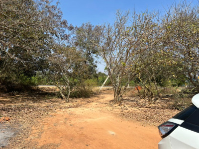 230 Acres Farm Land Layout JD/JV in Chickbellapur